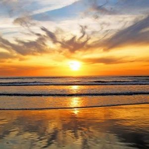 Meet your Posher, Missy